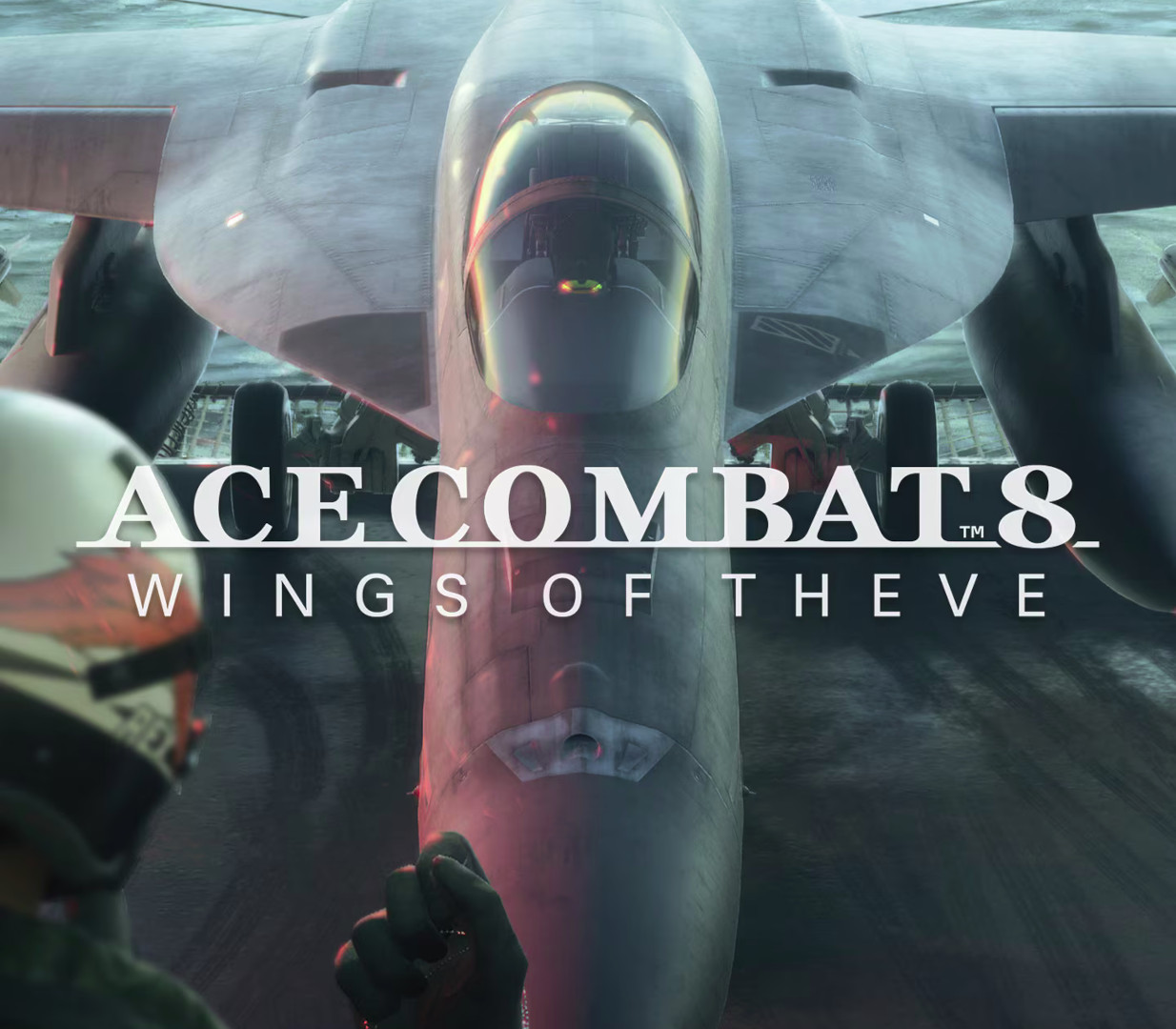 ACE COMBAT 8: WINGS OF THEVE + Pre-order Bonus DLC PRE-ORDER PC Steam CD Key
